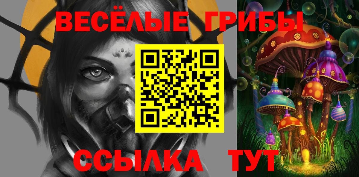 Псилоцибиновые грибы прущие грибы  Вход с VPN  Новошахтинск 